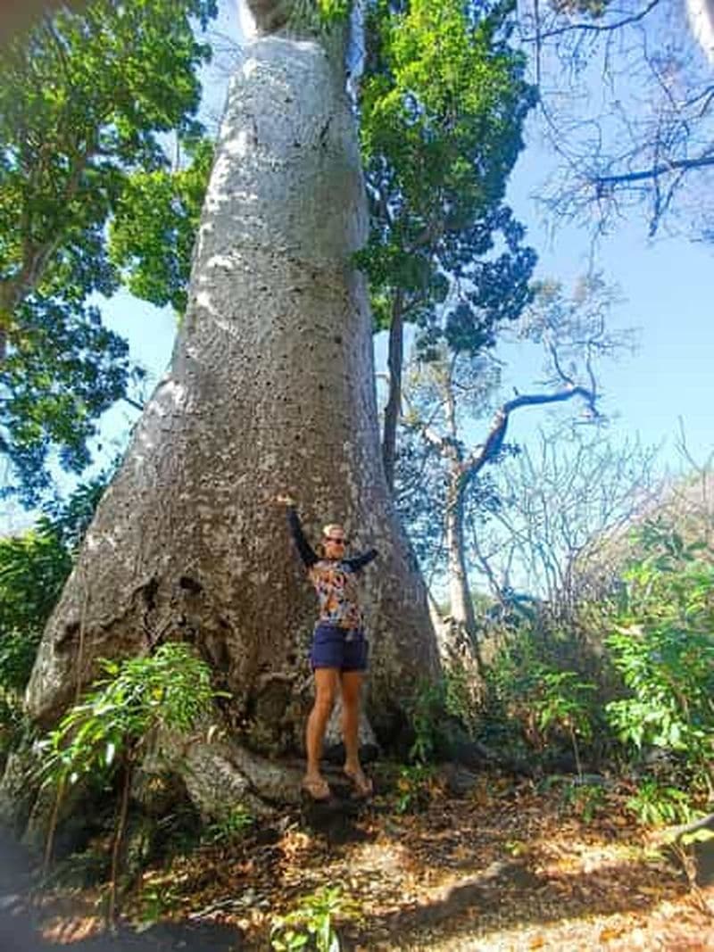 Billet Depuis Nosy Be : excursion de 3 jours dans l'archipel de Mitsio avec snorkeling