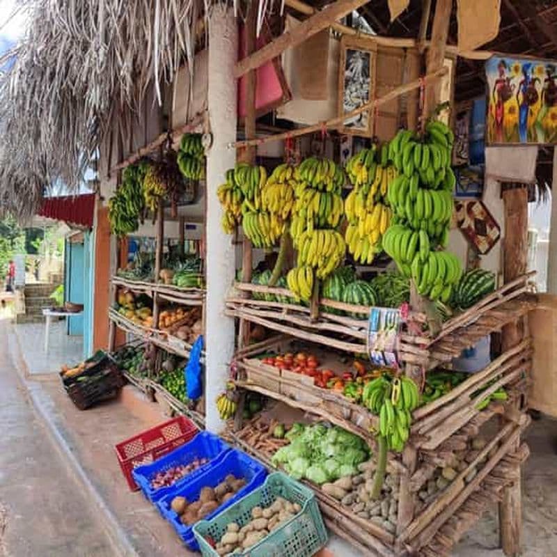 Punta Cana : safari à Samana entre cascades et plages