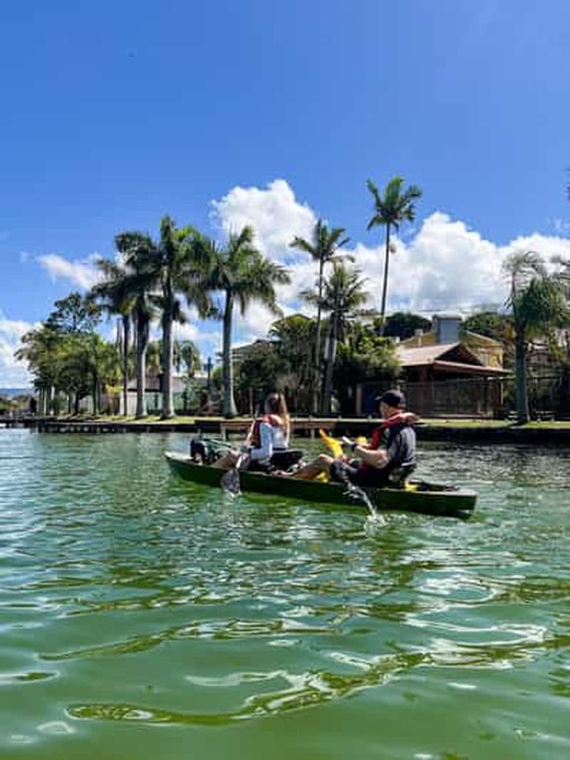 Floripa : kayak et paddle vers une plage secrète et la faune