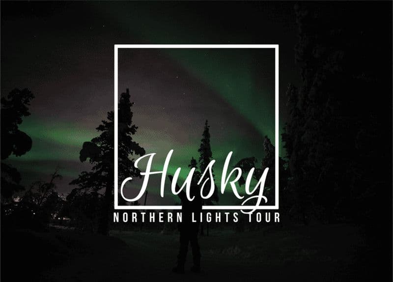 Depuis Kiruna : Aventure guidée en traîneau à huskies dans le cadre d'une observation des aurores boréales