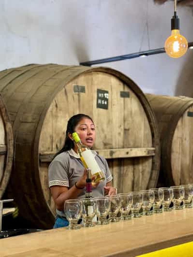 Cafayate : visite d'une journée complète des caves et dégustation de vins
