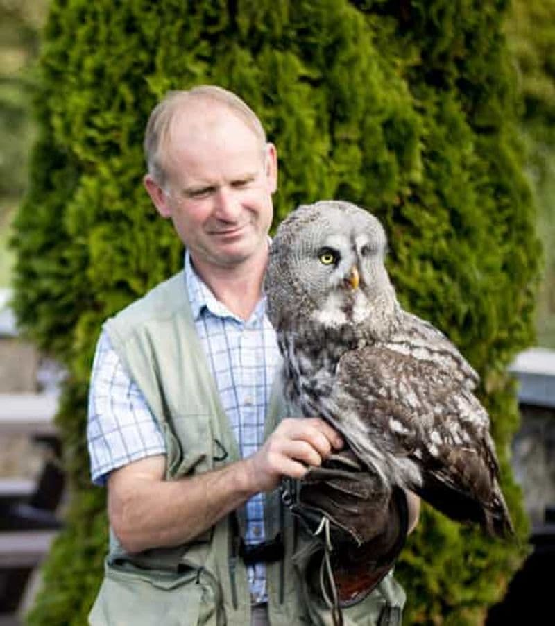 Billet Wexford : expérience avec les oiseaux de proie et entrée au parc patrimonial