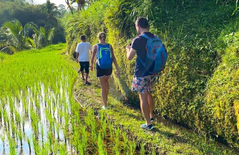 Billet Exclusif Tetebatu : chutes d'eau, rizières, singes et tissage