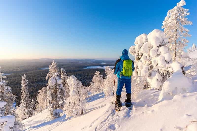 Billet Rovaniemi : Aventure de randonnée et de raquettes en Laponie
