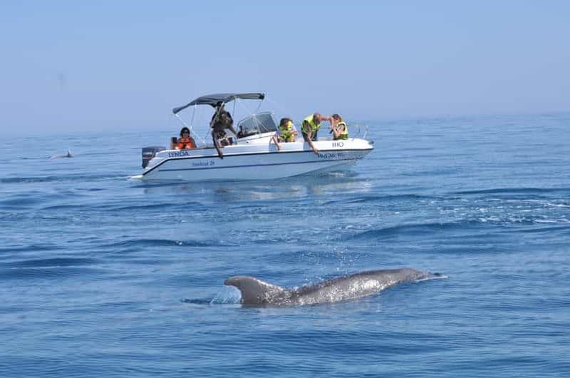 Djerba : Promenade en bateau privé avec observation des dauphins