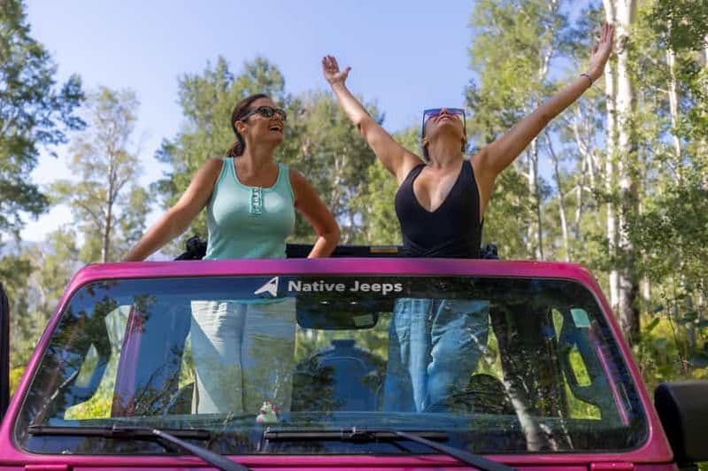 Idaho Springs : Circuit en jeep dans l'arrière-pays pittoresque