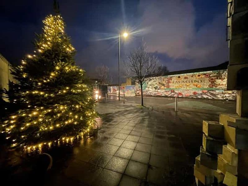 Billet Belfast : Visite du mur de la paix et de la peinture murale