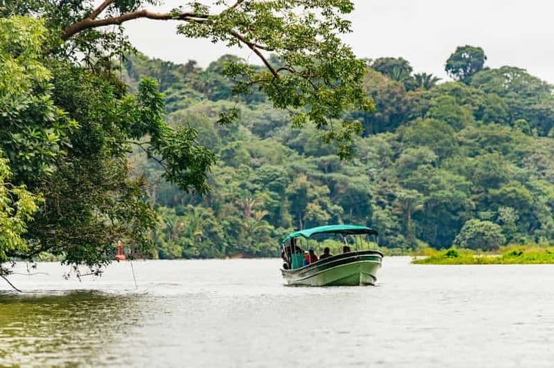 Panama City : Tour en bateau de l'île aux singes