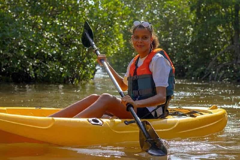 Aventure dans la mangrove de Mida Creek avec observation des oiseaux
