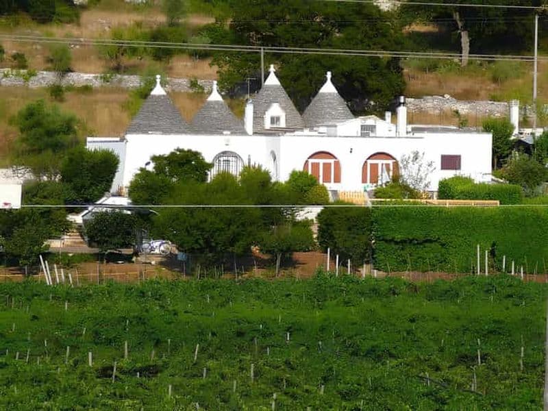 La campagne d'Ostuni : Dégustation de vin et déjeuner dans une Masseria