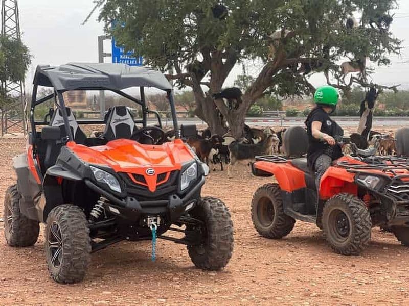 Au départ d'Agadir/Taghazout : aventure en buggy et thé marocain