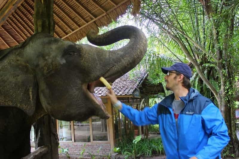 Bali : Taman Safari et nourrissage des éléphants avec transfert depuis l'hôtel