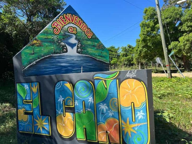 Punta Cana : plantation de café, chocolat et canne à sucre…