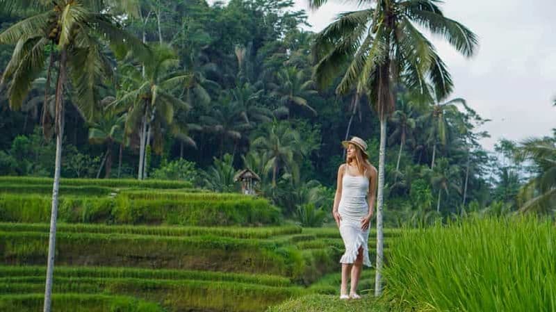 Ubud : Cascades, rizières et balançoire avec photographie