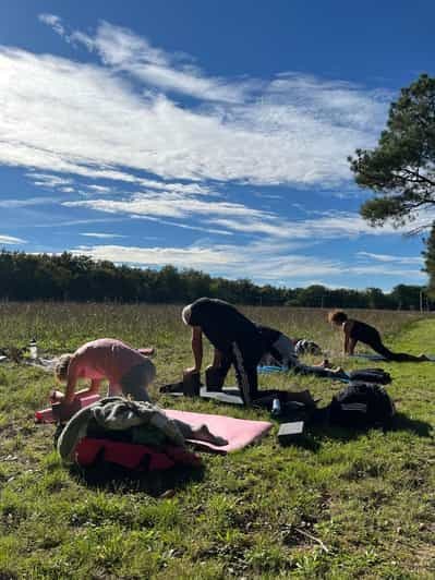 En Gironde: Journée Yoga, balade & brunch en nature - pour tout niveau