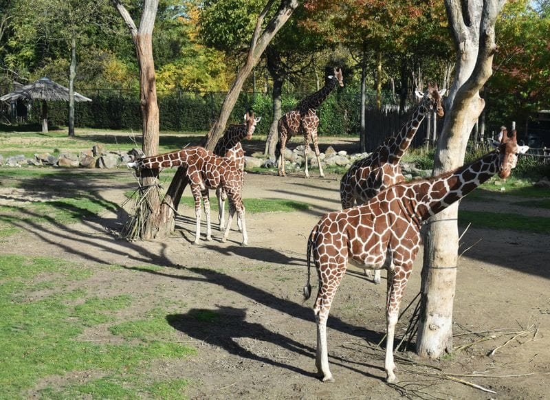 Delft - Attraction la plus populaire