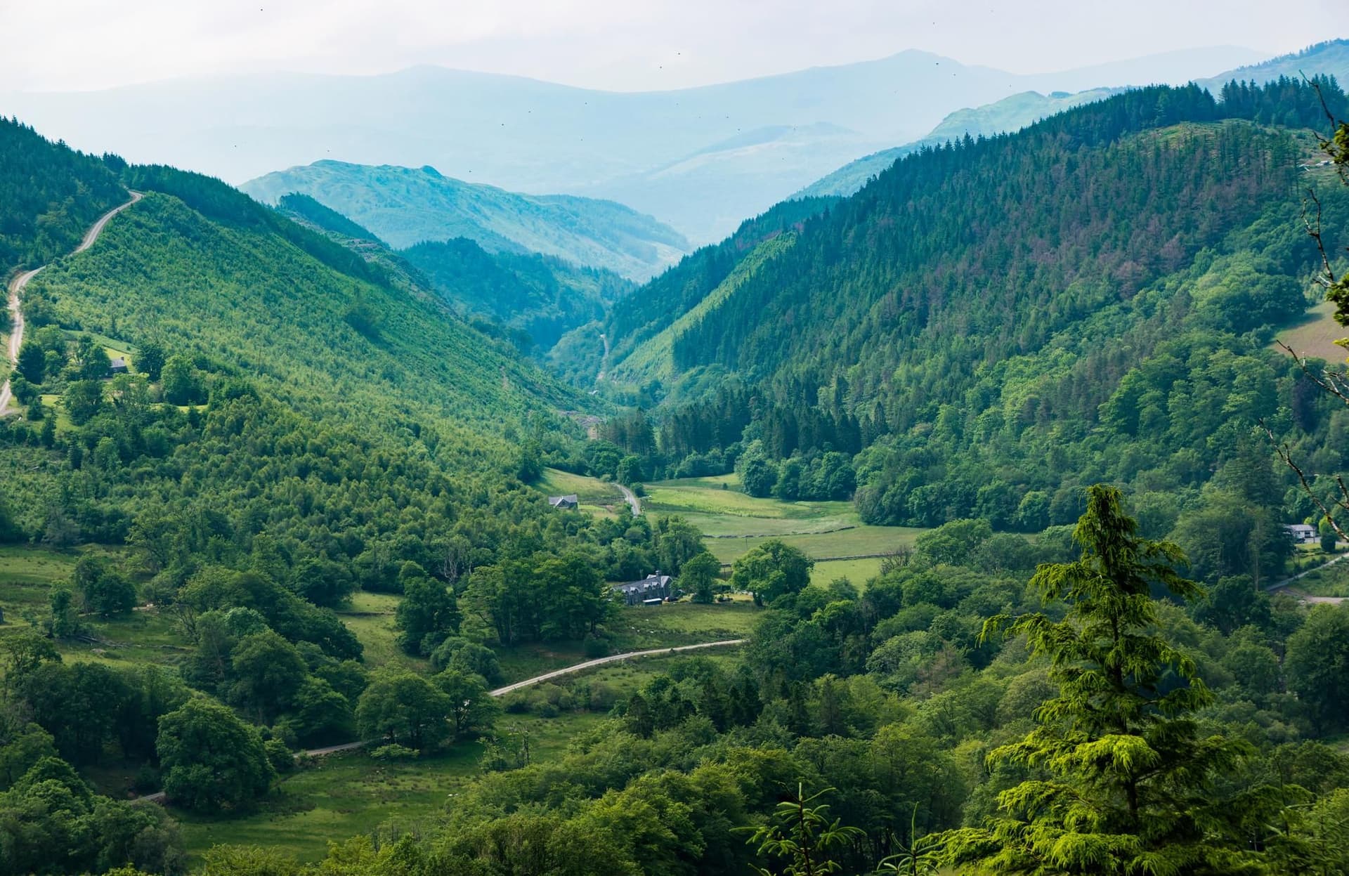 Centre de la forêt de Coed y Brenin
