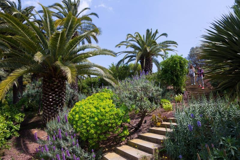 Jardin botanique de Barcelone