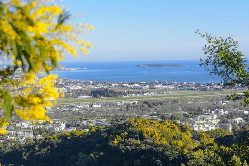 Aéroport de Cannes-Mandelieu (CEQ)