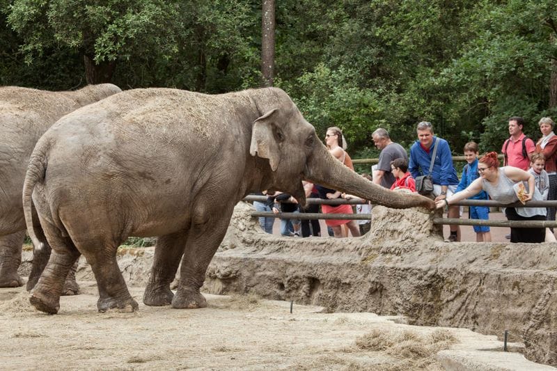 Charente-Maritime - Attraction la plus populaire