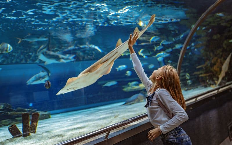 Billets coupe-file pour l'Aquarium de Barcelone