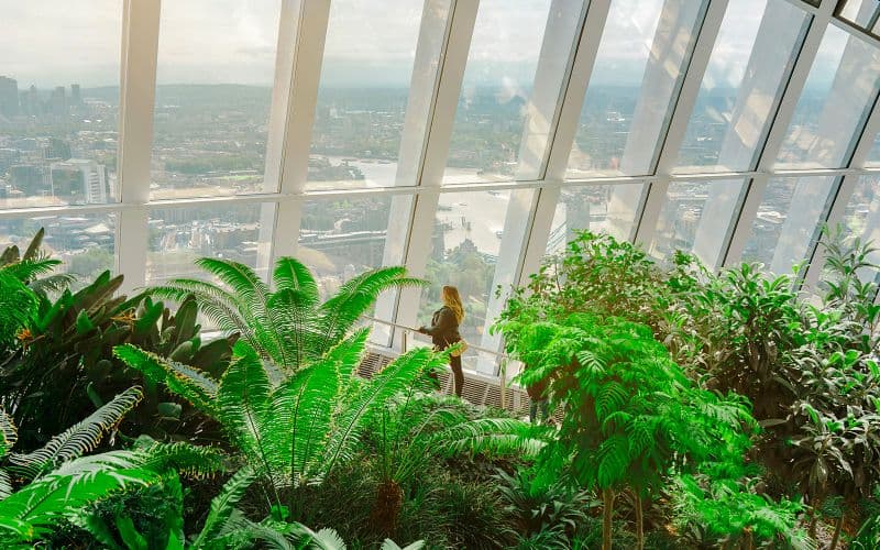 Billets accès anticipé Sky Garden avec petit-déjeuner inclus