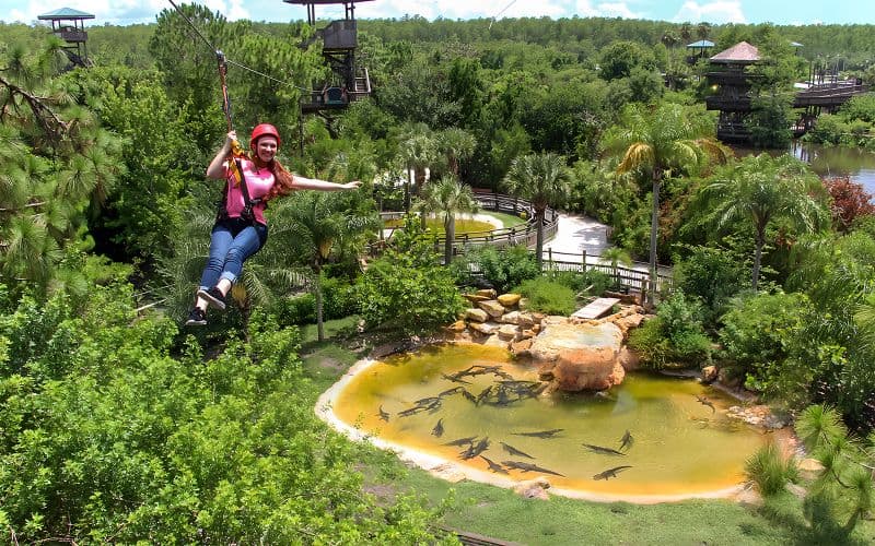 Billets pour Gatorland avec accès à la tyrolienne Screamin' Gator