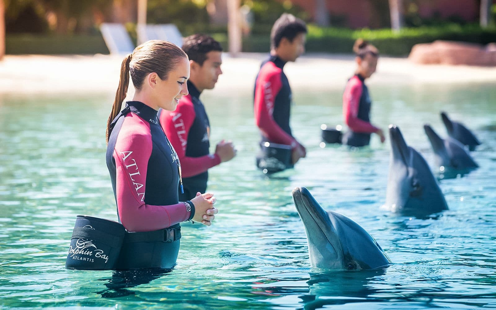 Billets pour le parc aquatique Aquaventure avec rencontre avec les dauphins