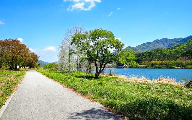 Au départ de Séoul : Excursion d'une journée sur l'île de Nami, la Petite France et le village italien avec balade en vélo sur rail à Gapyeong et spectacle de peintres