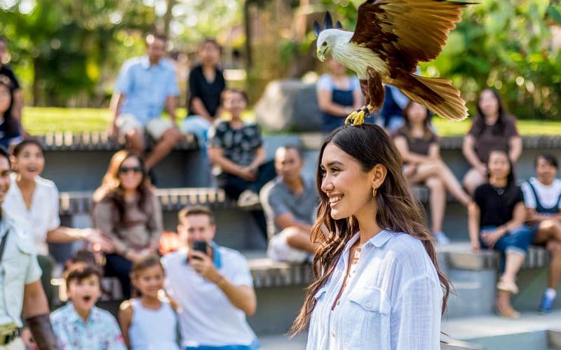 Billets pour le Parc ornithologique de Bali avec déjeuner au Crispy Duck et navettes à l'hôtel