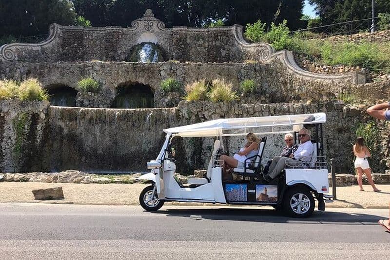 Billet Visite privée en voiturette de golf à Florence