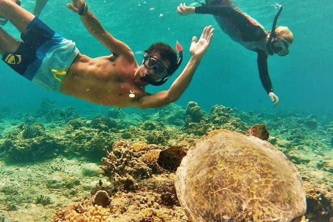 Tour en bus à Oahu et snorkeling avec les tortues
