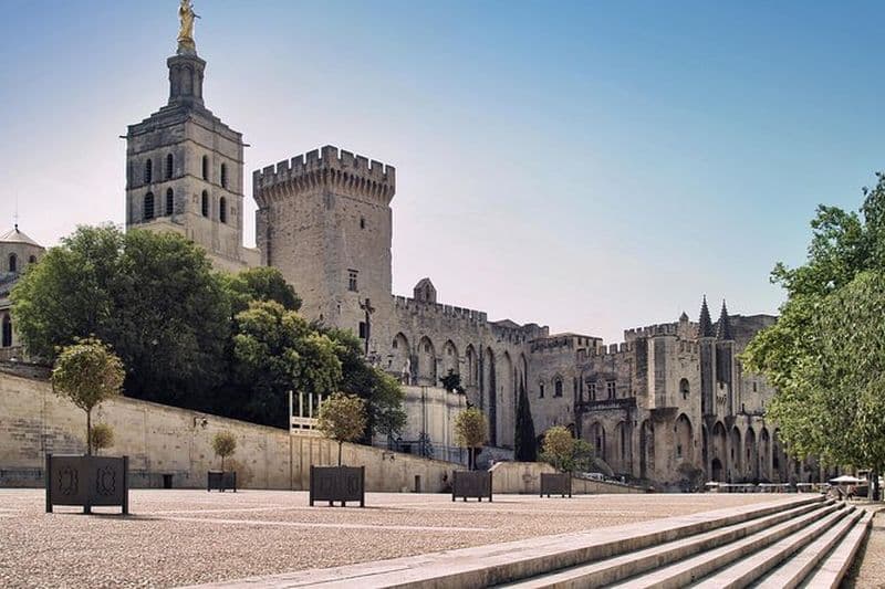 Visite guidée d'Avignon avec entrée au Palais des Papes