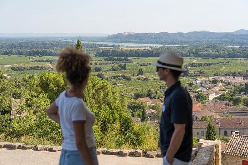 Visite des vignobles de Châteauneuf-du-Pape au départ d'Avignon
