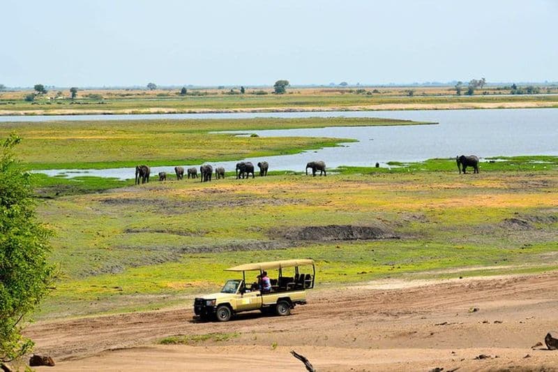 Safari 4x4 dans le parc national de Chobe depuis Kasane