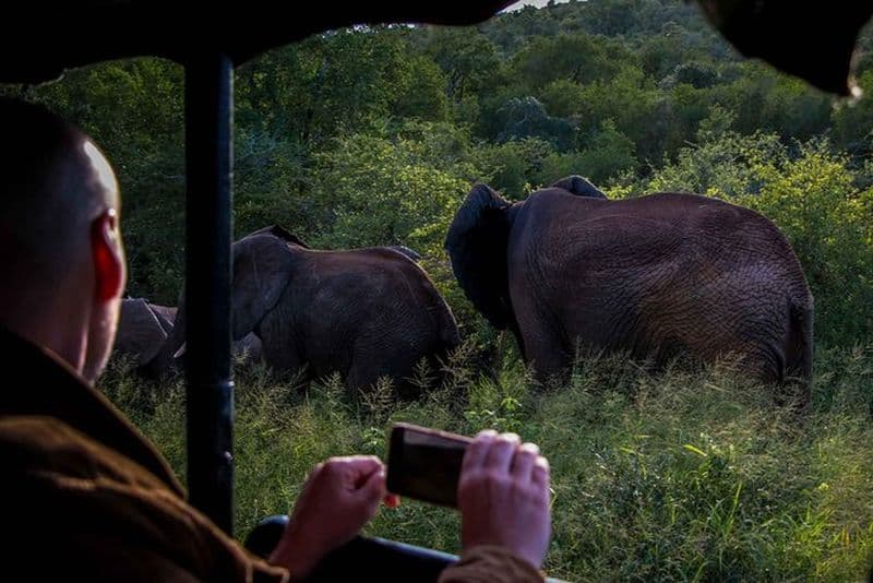 Billet Tour nocturne en jeep dans le parc humide d’iSimangaliso