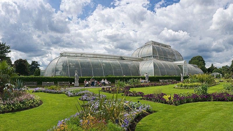 Billets pour les jardins de Kew à Londres