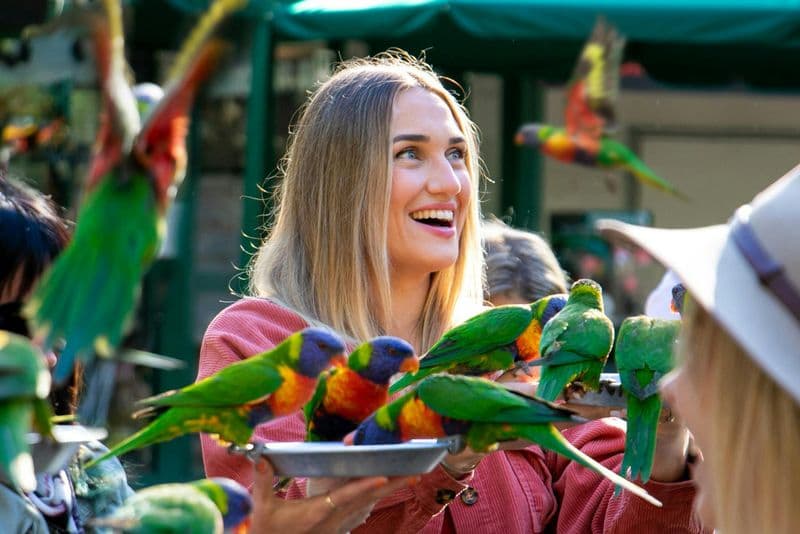 Billets pour le Currumbin Wildlife Sanctuary