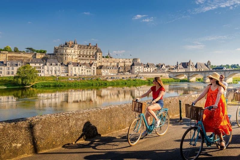 Billet Billets pour le Château Royal d'Amboise