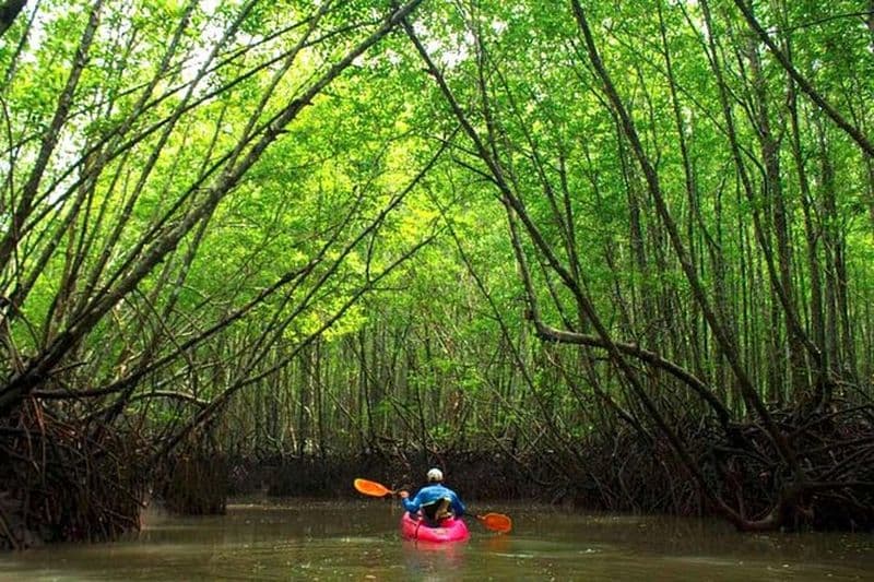 Billet Excursion en kayak à travers les mangroves et le canyon de Krabi