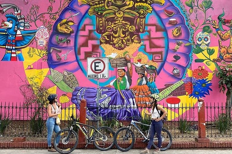 Billet Balade en vélo à la découverte de l'art de rue à Oaxaca