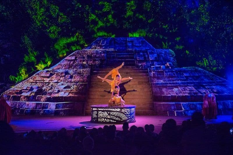 Billet Croisière à Puerto Vallarta avec dîner et spectacle Rhythms of the Night