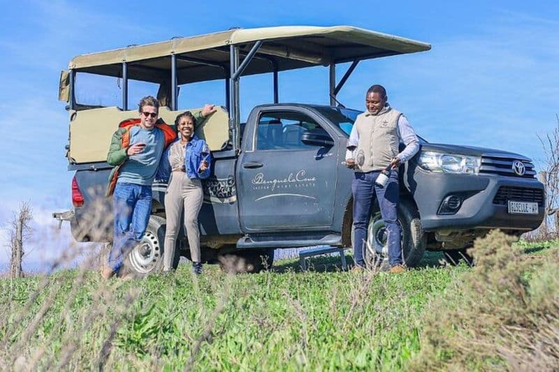 Visite privée des vignobles à Hermanus