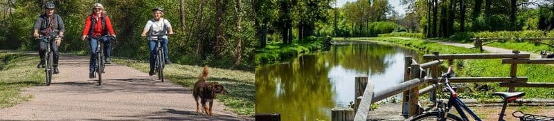 Location de vélos chez Aux Baboteurs