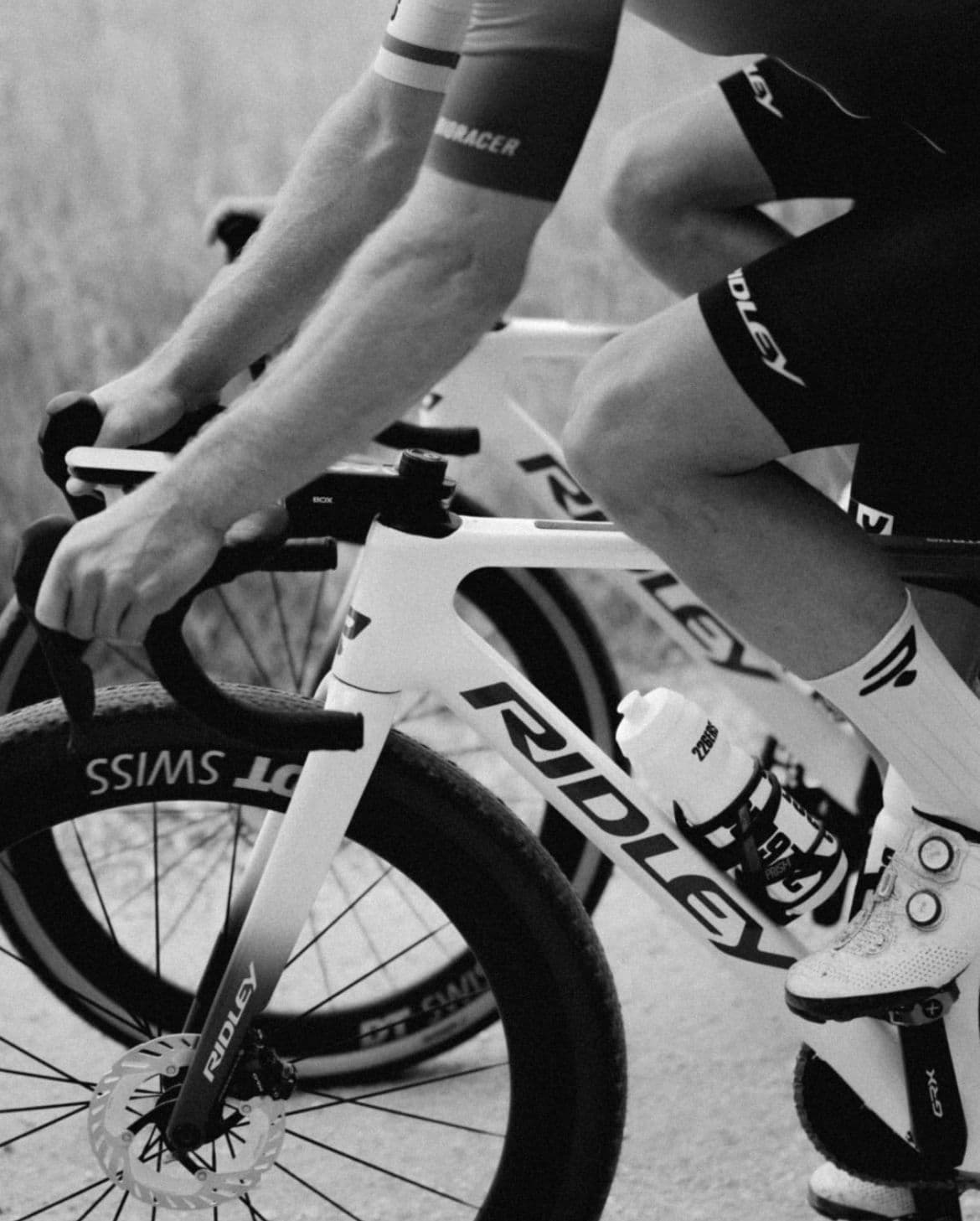 Location de vélos chez Esprit Cycles Cogolin