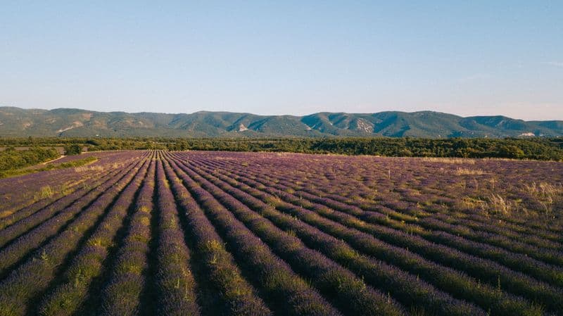 Location de vélos chez Luberon Bike Rental