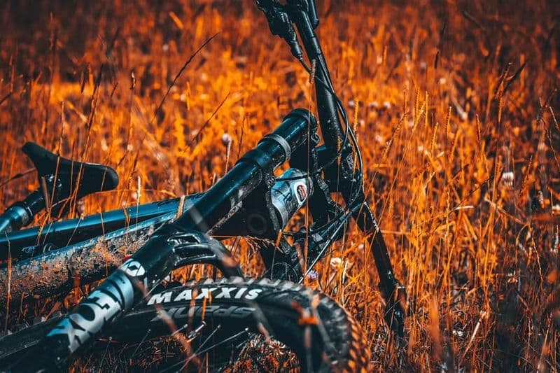 Location de vélos chez Gaby Sport