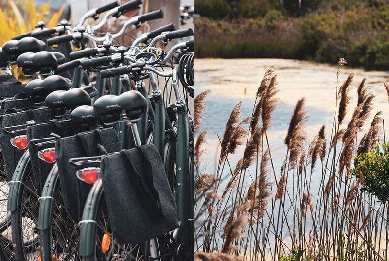 Billet Location de vélos chez vélocation - ça roule