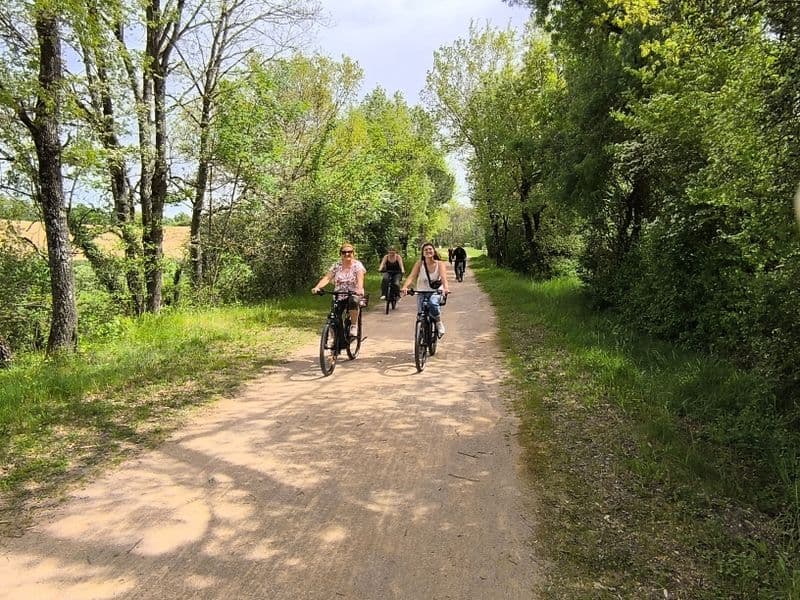 Billet Location de vélos chez Les vélos de l'autan