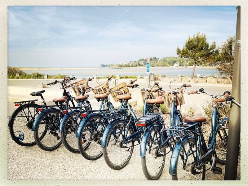 Location de vélos chez Action Line